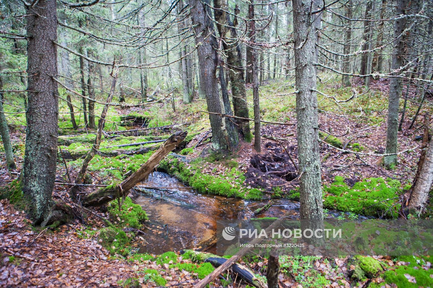 Осень в Карелии