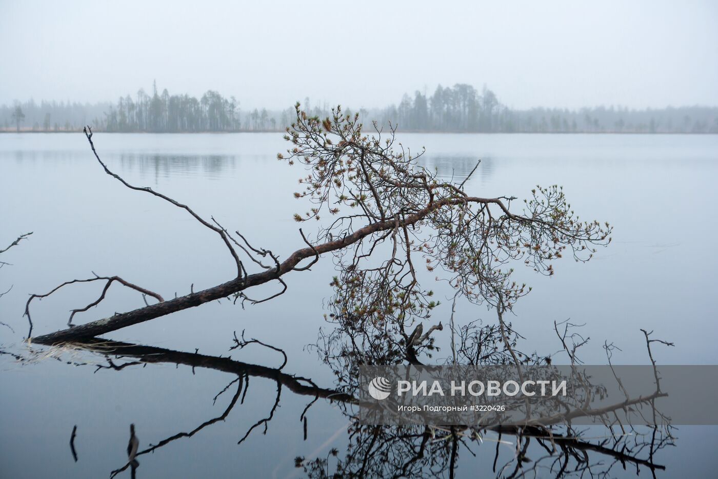 Осень в Карелии