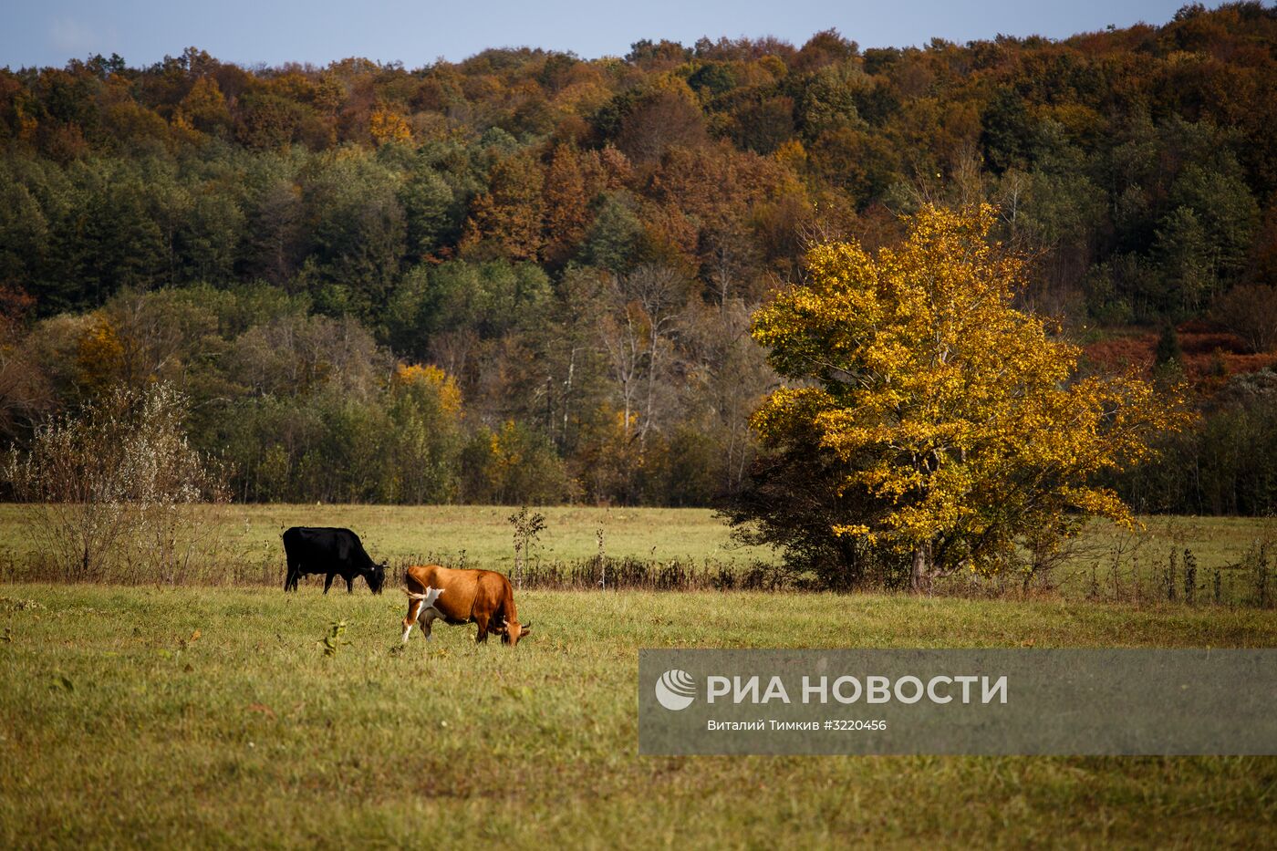 Осень в Краснодарском крае