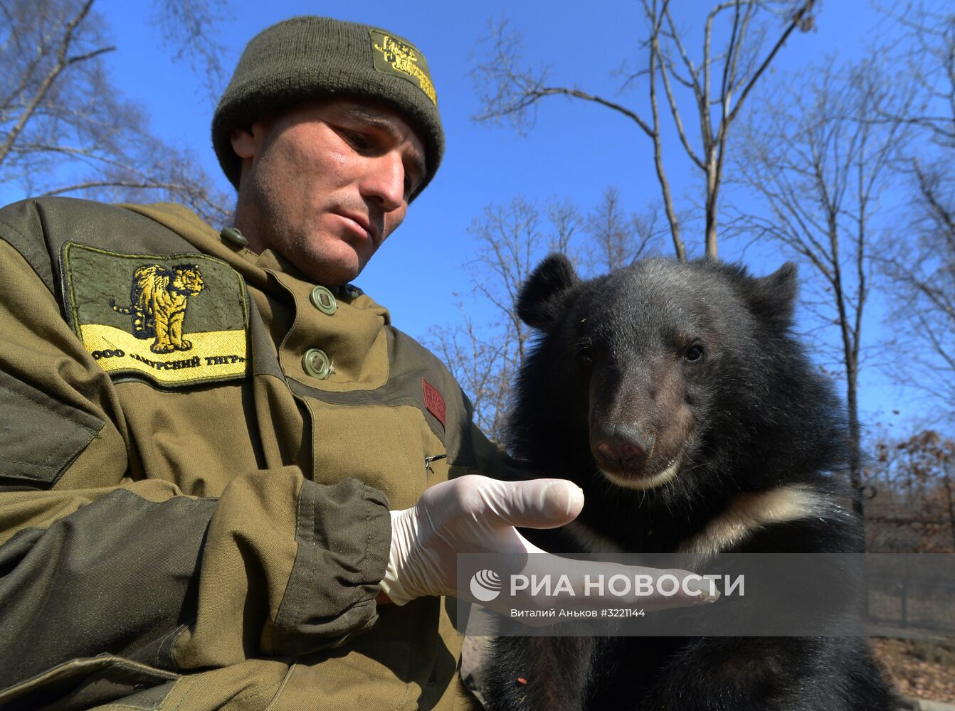 Гималайские медвежата в Приморском сафари-парке