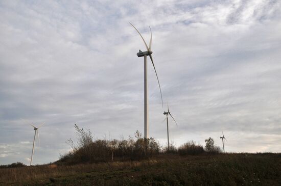Ветряная и солнечная электростанции во Львовской области