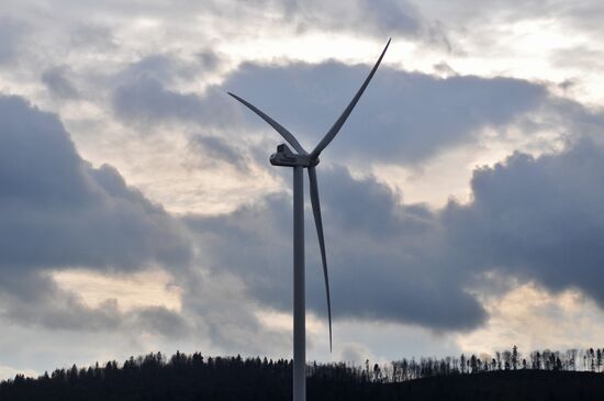 Ветряная и солнечная электростанции во Львовской области