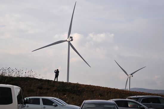 Ветряная и солнечная электростанции во Львовской области