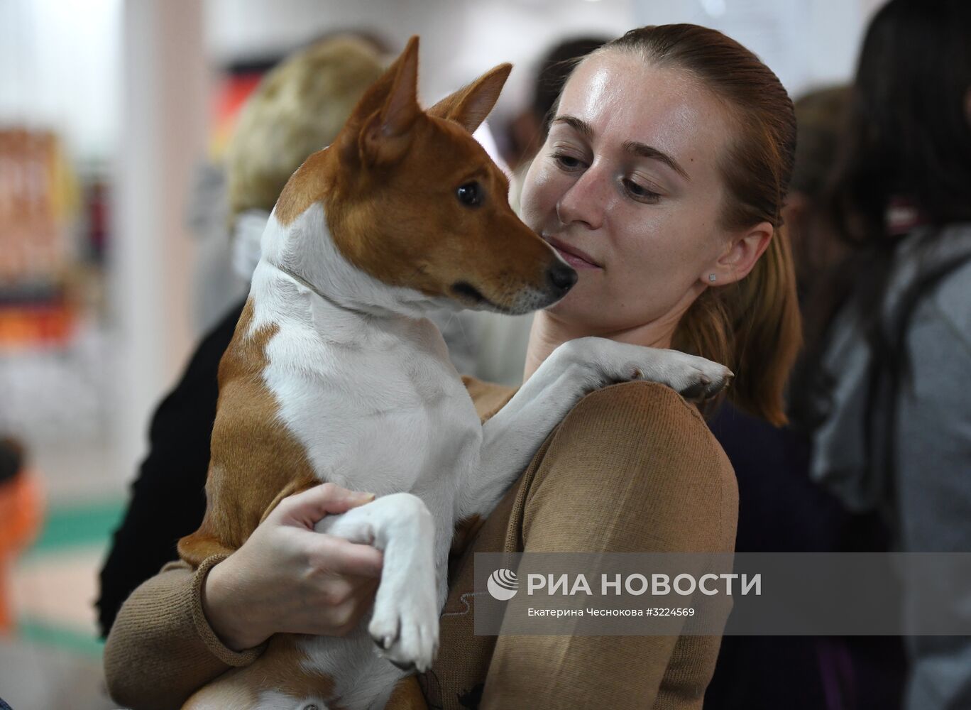 Выставка собак в Москве