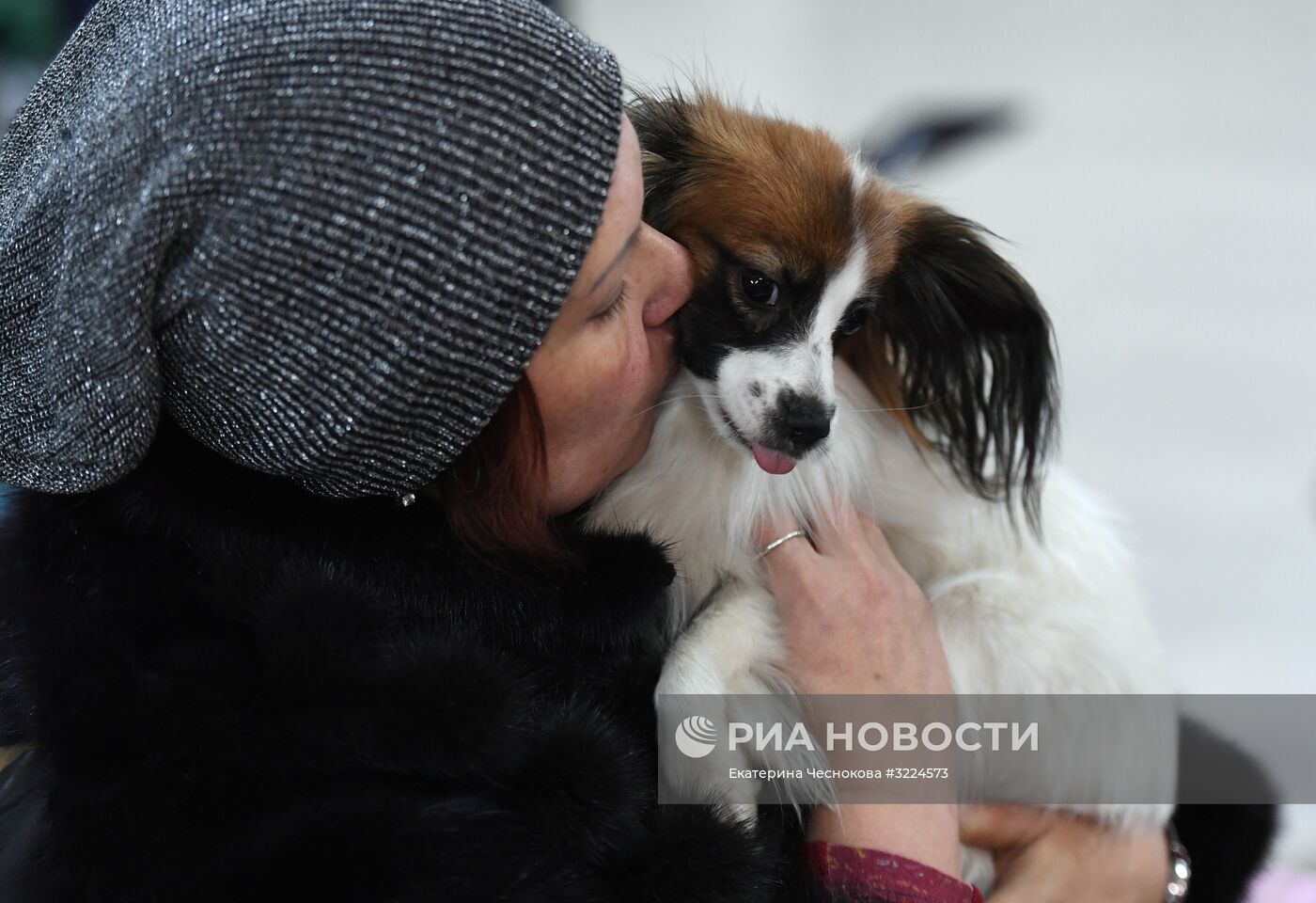 Выставка собак в Москве