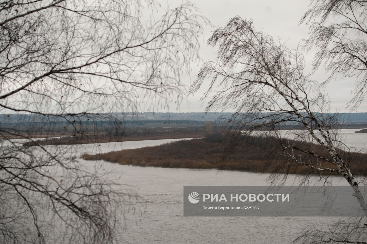 Регионы России. Томская область