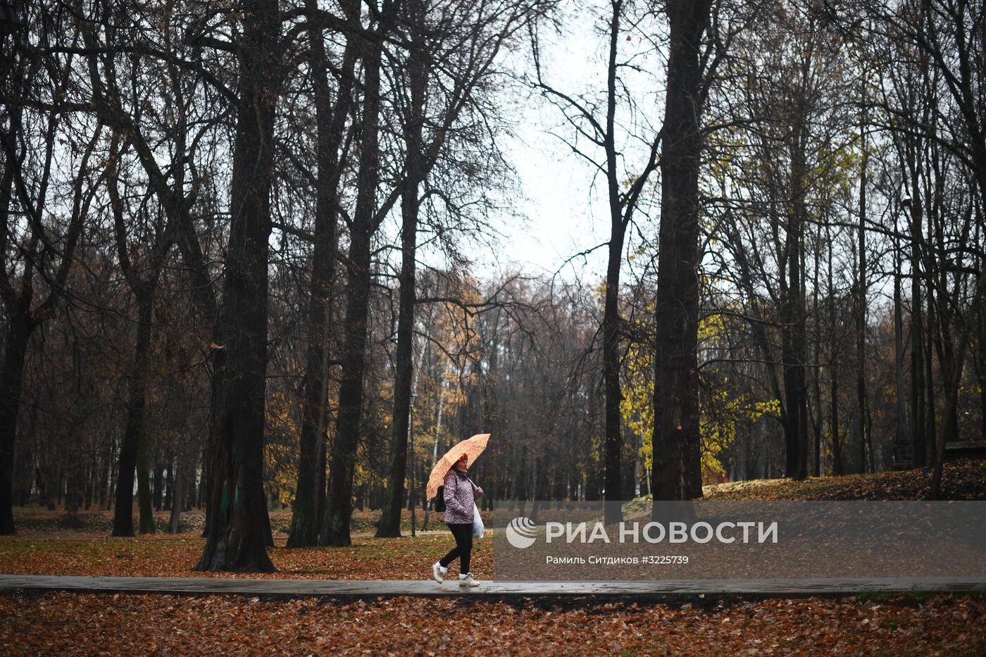 Дождь в Москве