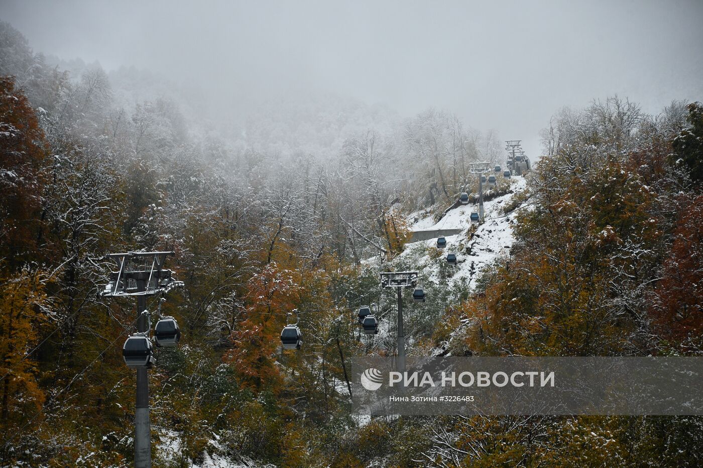 Снег в Красной Поляне