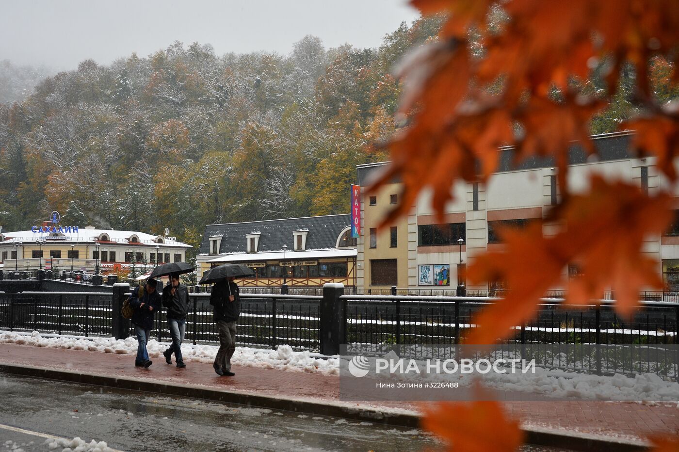 Снег в Красной Поляне