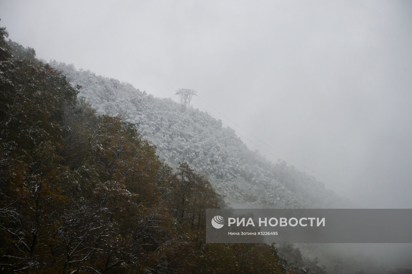 Снег в Красной Поляне