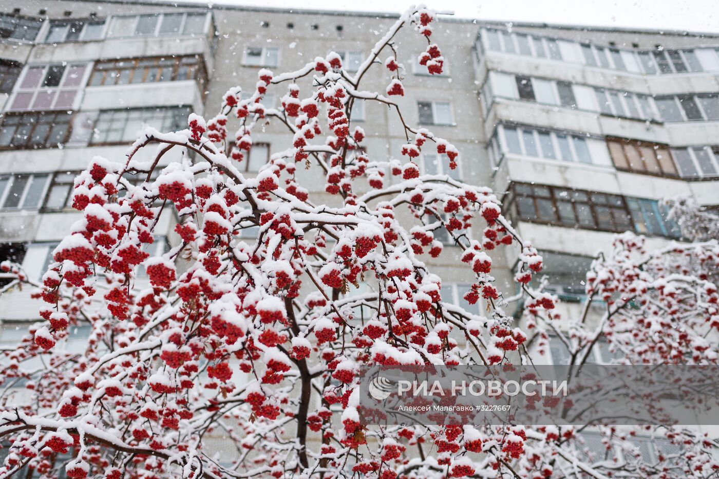 Снег в Омске