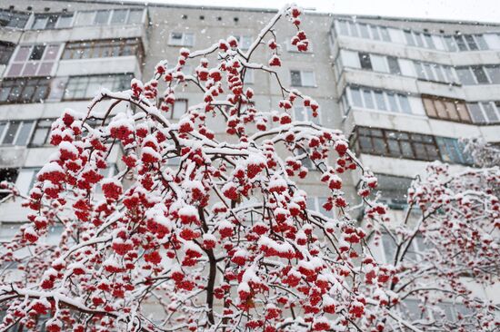 Снег в Омске