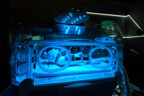 Выставка "Россия, устремленная в будущее"