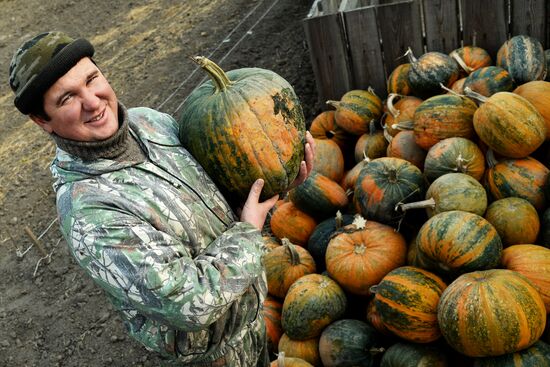 Участник программы "Дальневосточный гектар" Иван Панин в Хабаровском крае