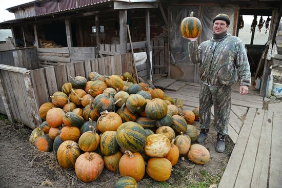 Участник программы "Дальневосточный гектар" Иван Панин в Хабаровском крае