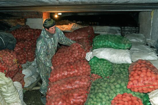 Участник программы "Дальневосточный гектар" Иван Панин в Хабаровском крае