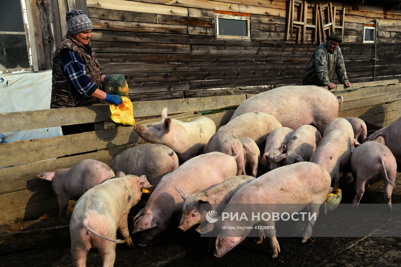 Участник программы "Дальневосточный гектар" Иван Панин в Хабаровском крае