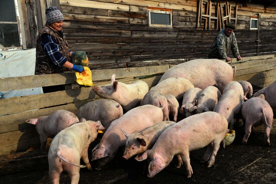 Участник программы "Дальневосточный гектар" Иван Панин в Хабаровском крае