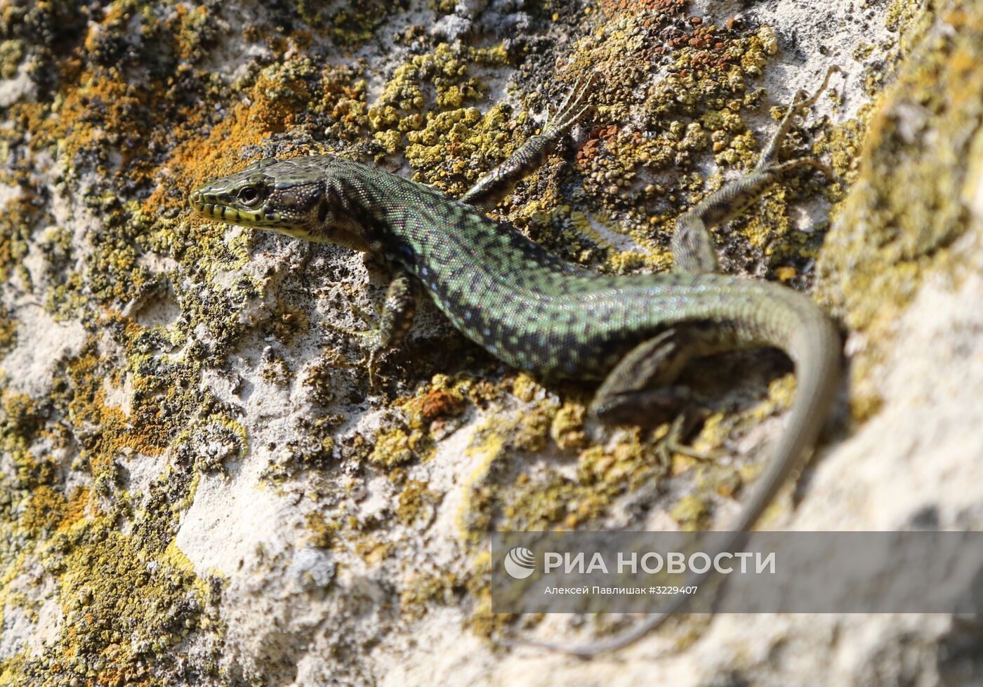 Пещерный город-крепость Чуфут-Кале в Крыму.