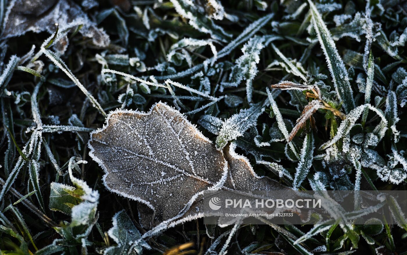 Повседневная жизнь