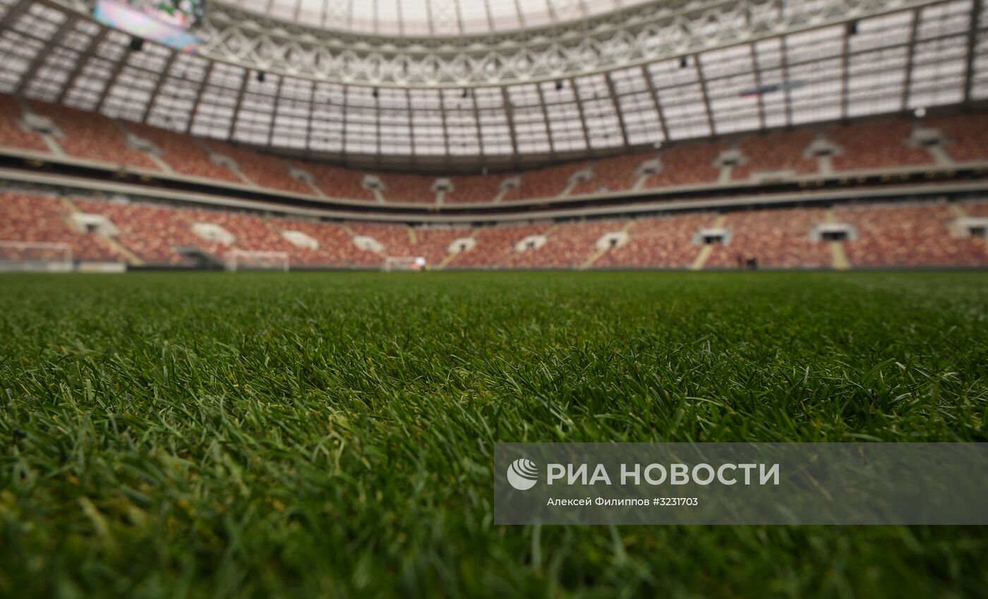 Футбол. Тренировка сборной России