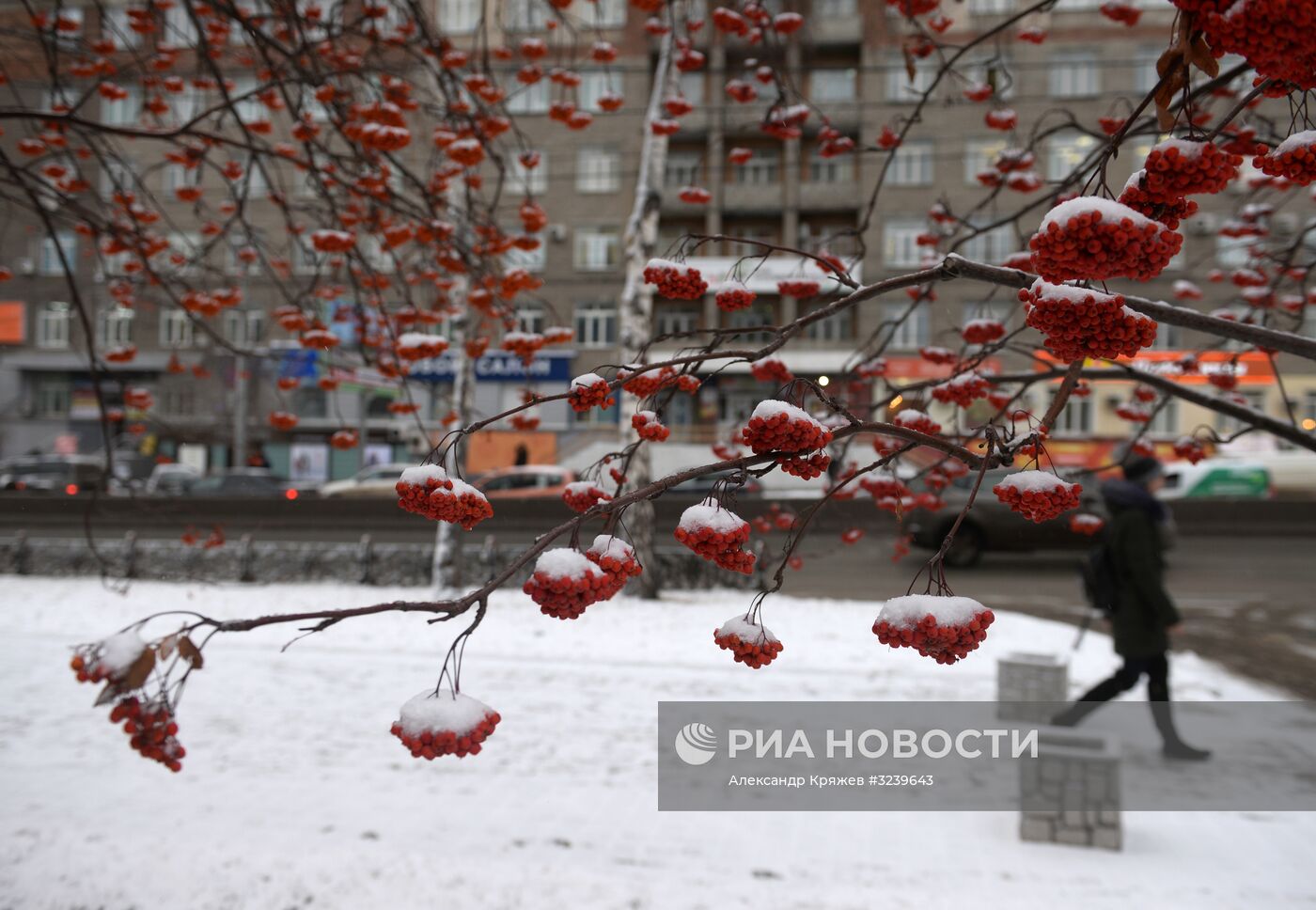 Зима в Новосибирске