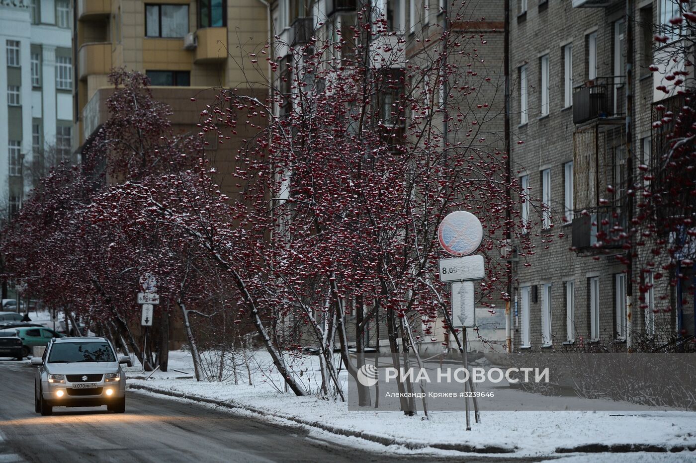 Зима в Новосибирске