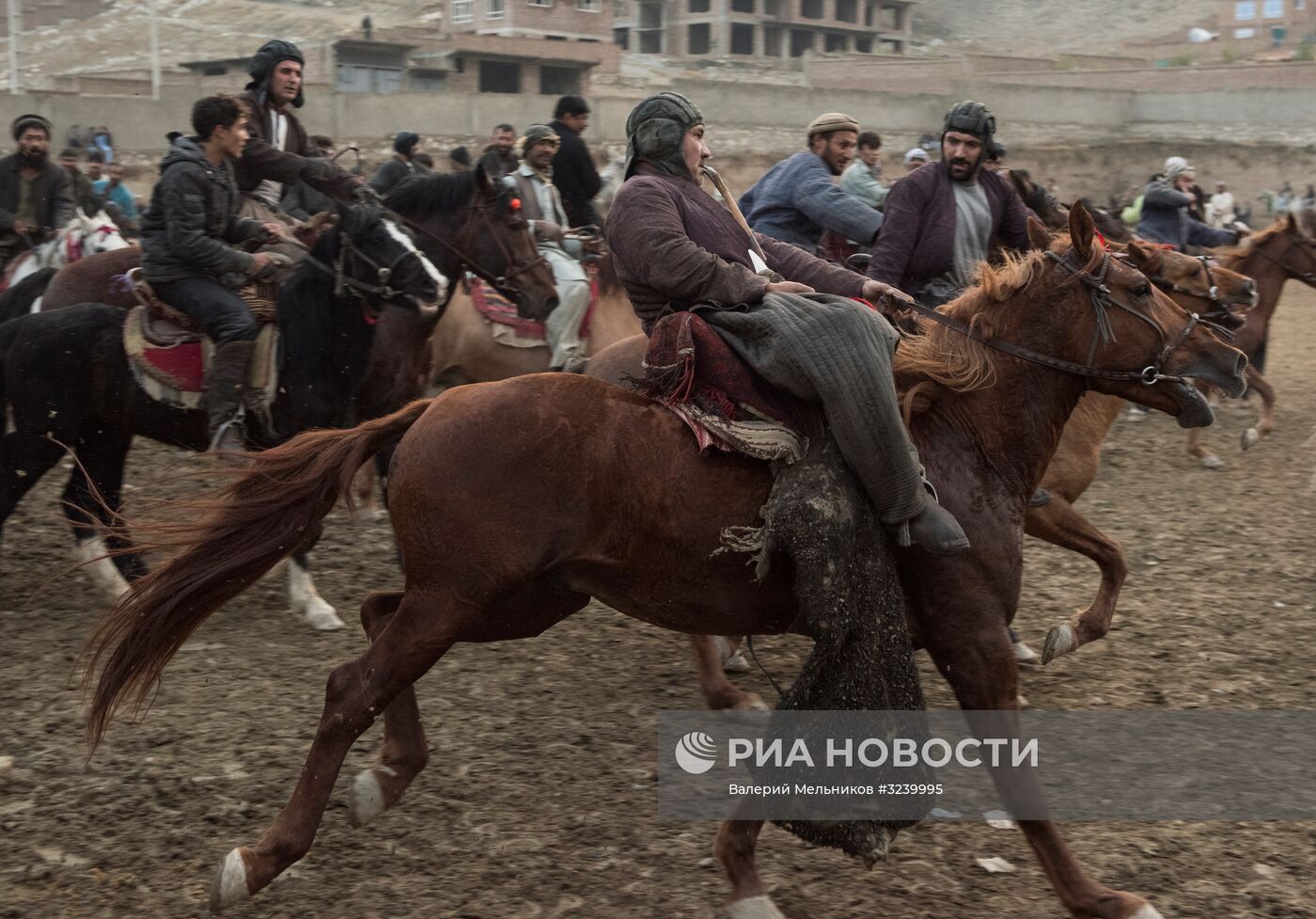 Национальная игра Бузкаши | РИА Новости Медиабанк