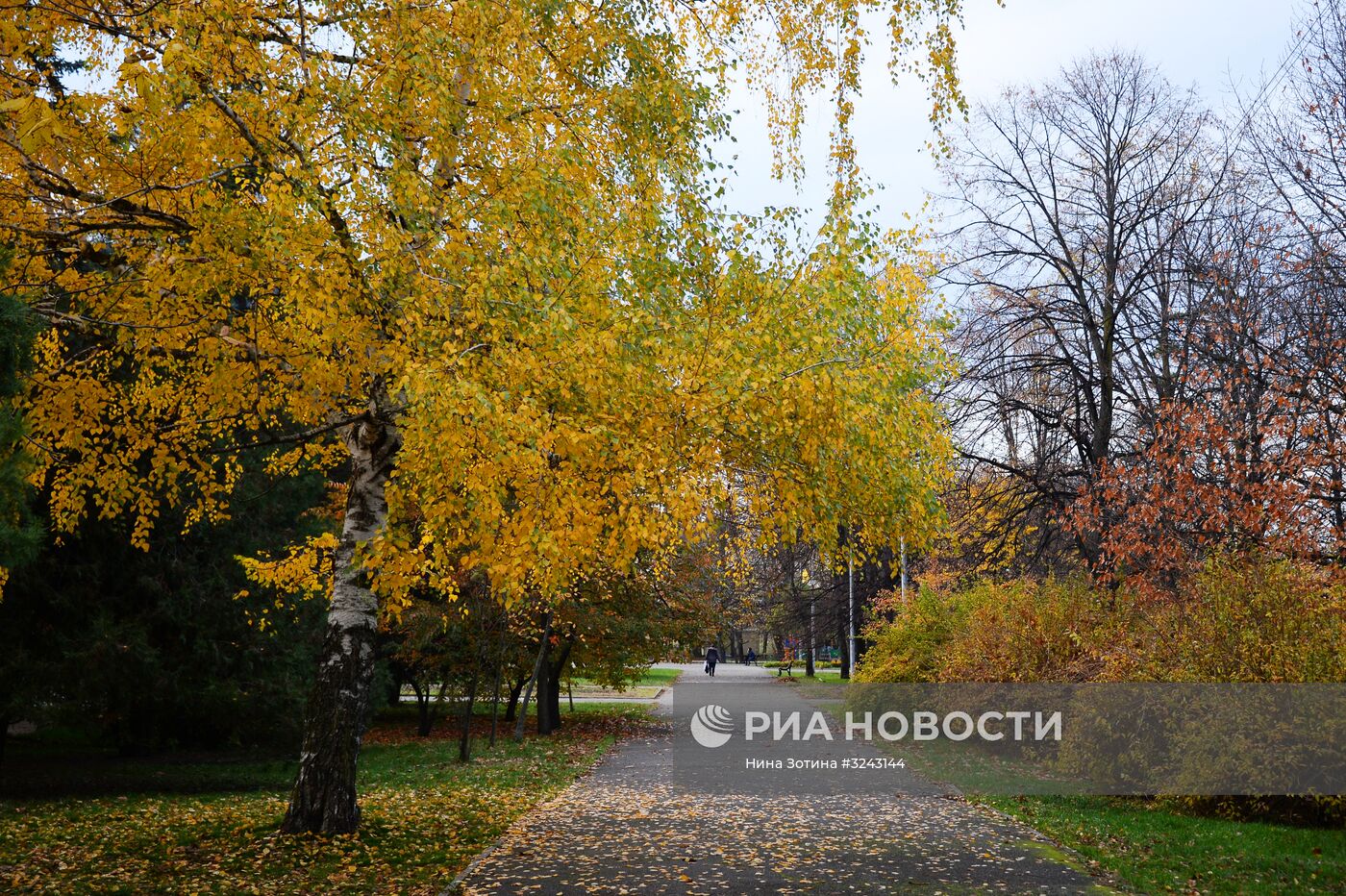 Города России. Майкоп