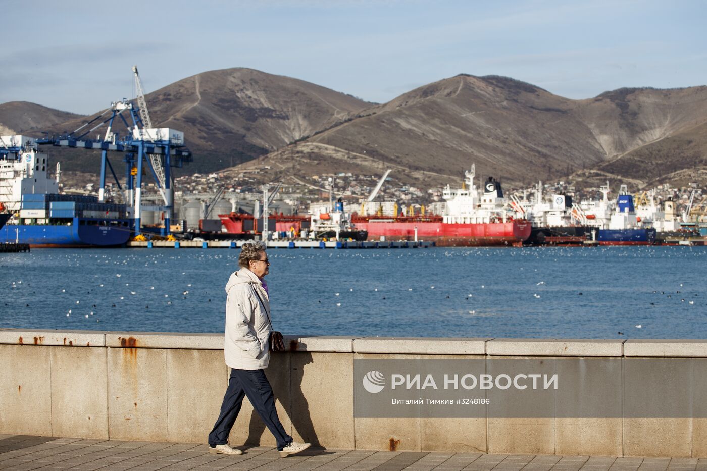 Города России. Новороссийск