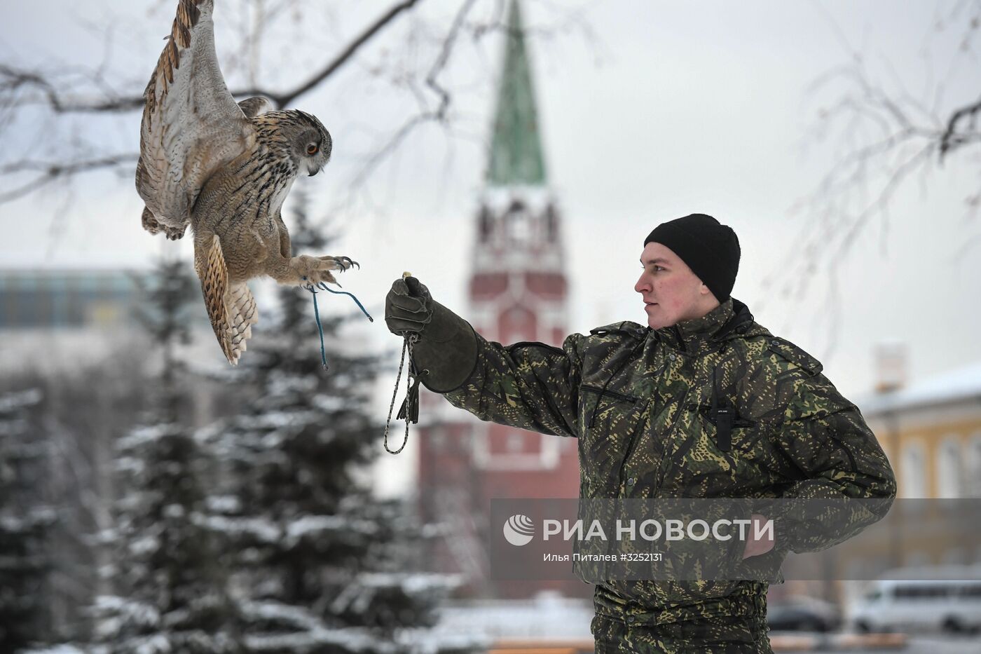 Соколиная служба Кремля