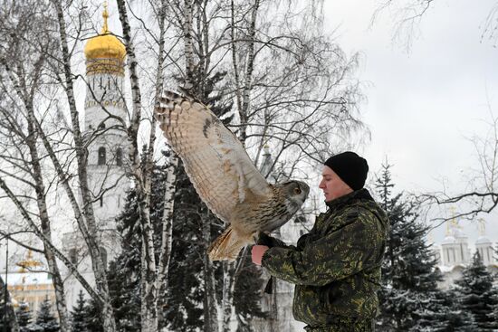 Соколиная служба Кремля