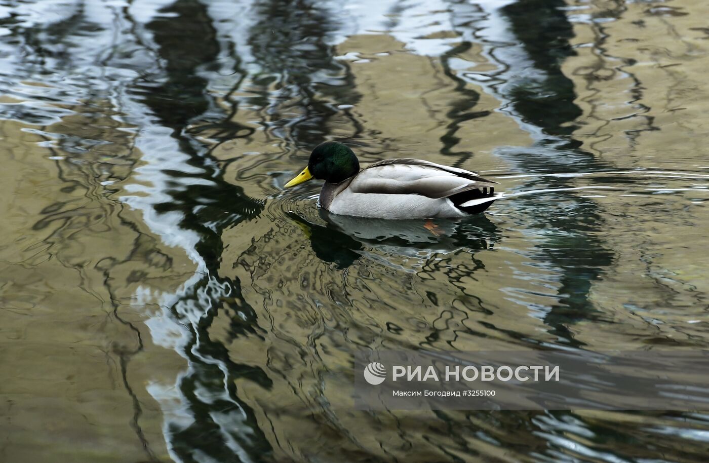 Голубое озеро в Казани