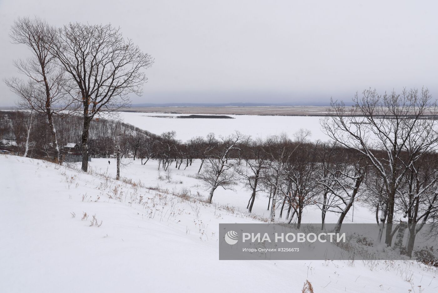 Города России. Амурск