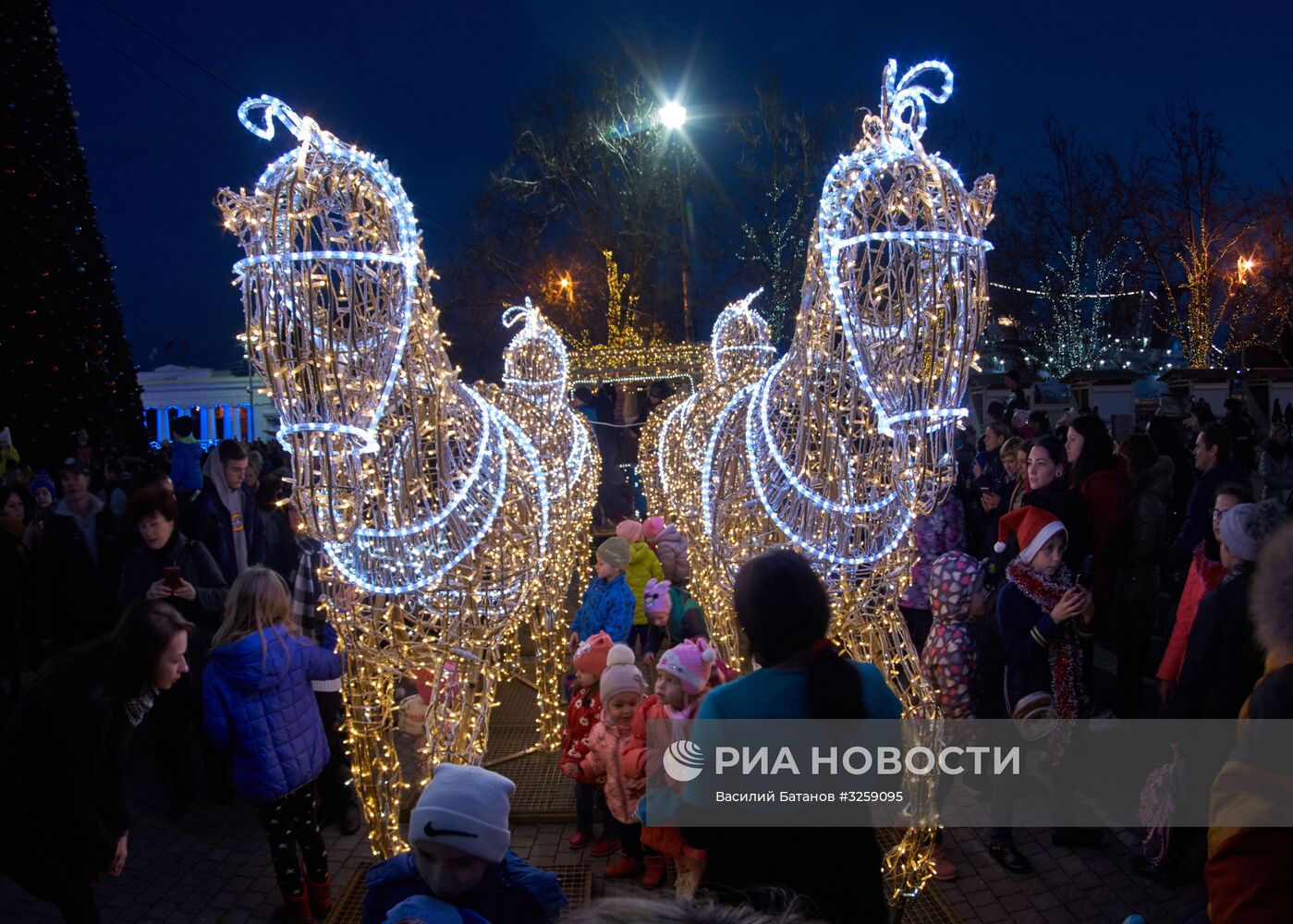 Главная новогодняя ёлка города Севастополя