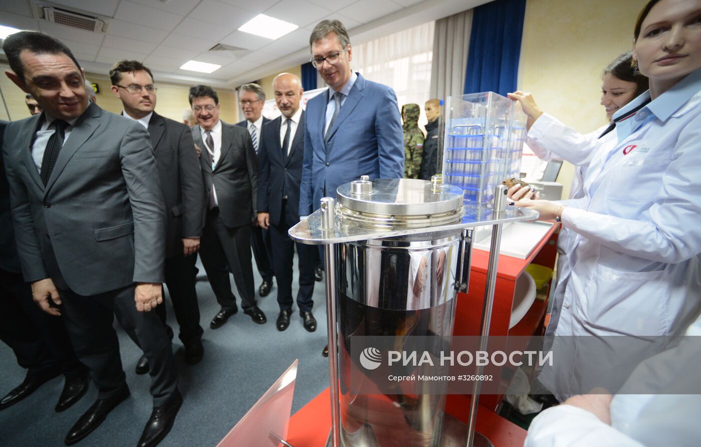 Встреча вице-премьера РФ Д. Рогозина с президентом Сербии А. Вучичем