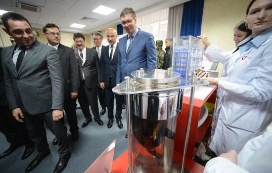 Встреча вице-премьера РФ Д. Рогозина с президентом Сербии А. Вучичем