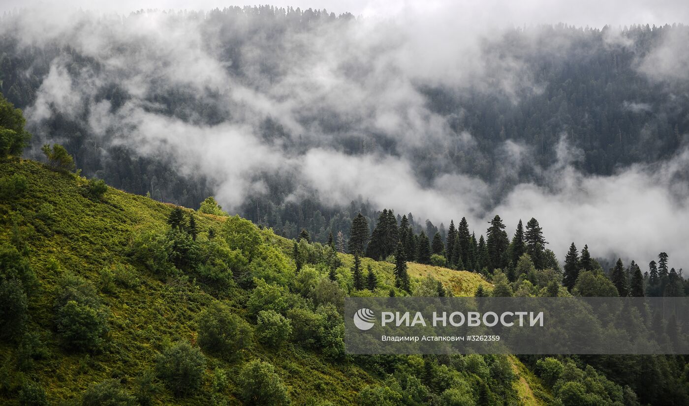 Круглогодичный горный курорт "Роза хутор" в Красной поляне