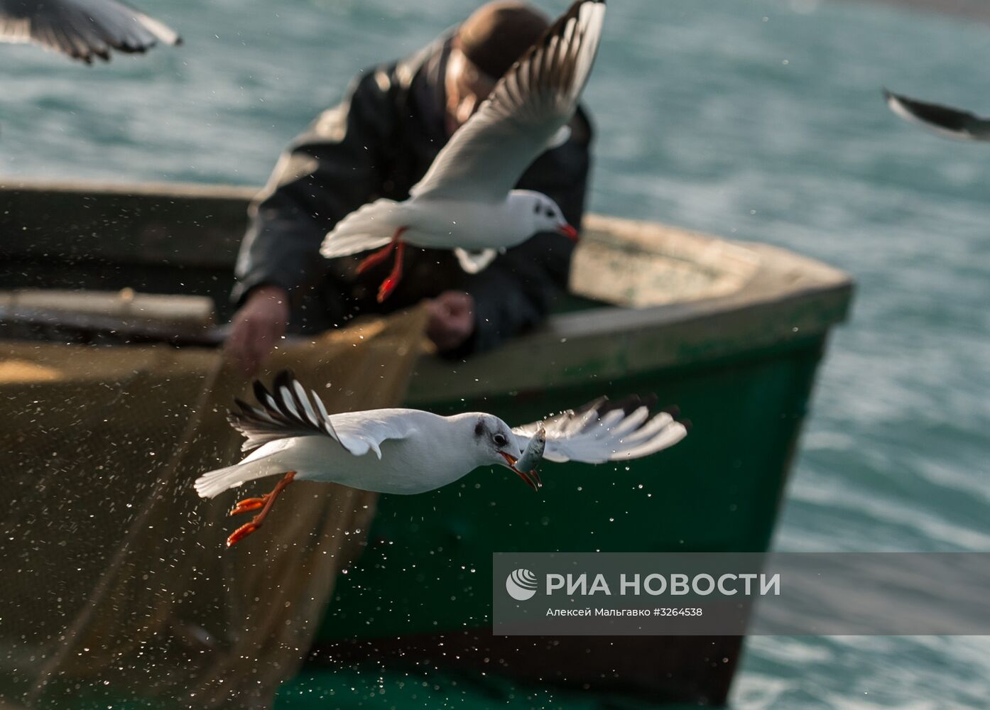 Прибрежный лов рыбы в Севастополе