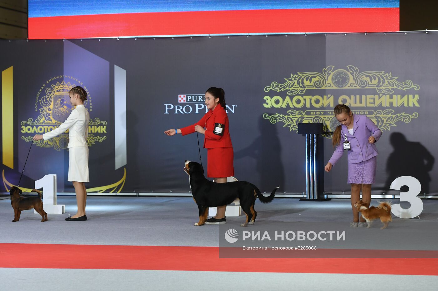 Ежегодное шоу чемпионов "Золотой Ошейник"