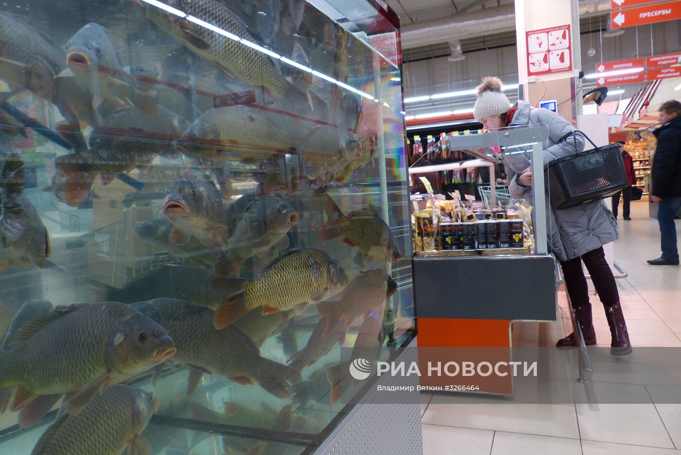 Город Рогачев в Белоруссии