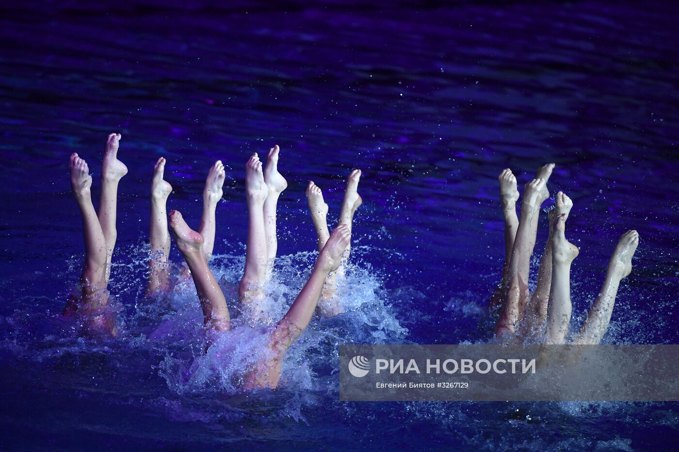 Шоу олимпийских чемпионов по синхронному плаванию "20 лет побед"