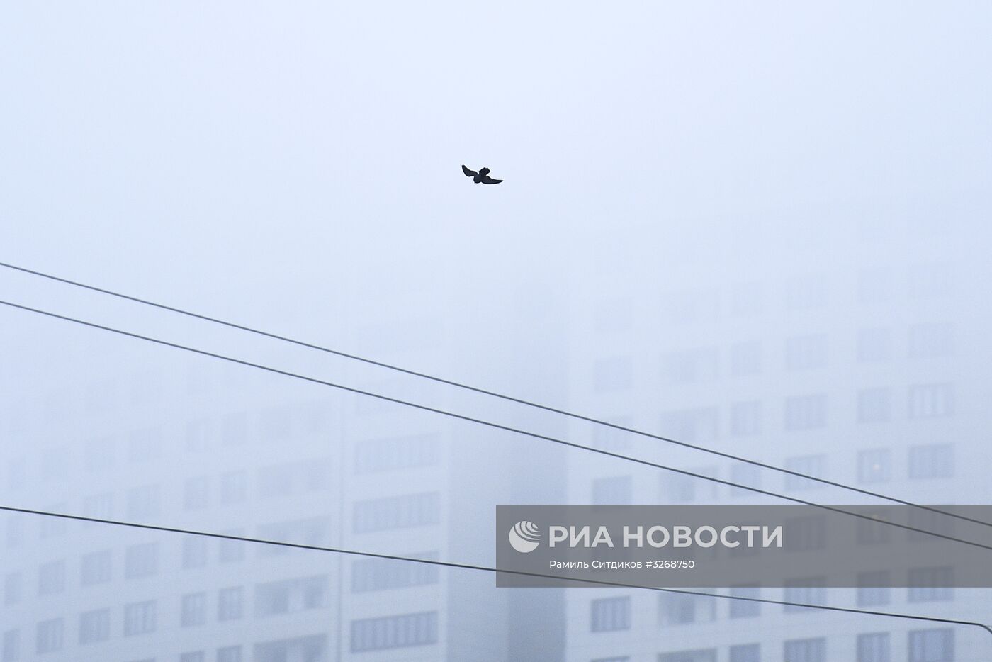 Аномально теплая погода в Москве