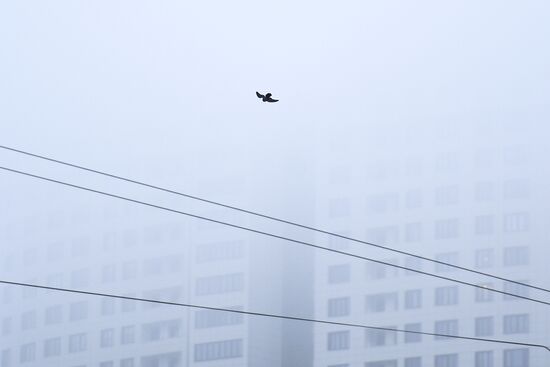 Аномально теплая погода в Москве