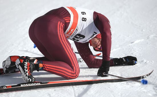 Лыжные гонки. Тур де Ски. Мужчины. Индивидуальная гонка