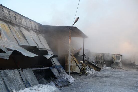 Пожар в Новосибирской области