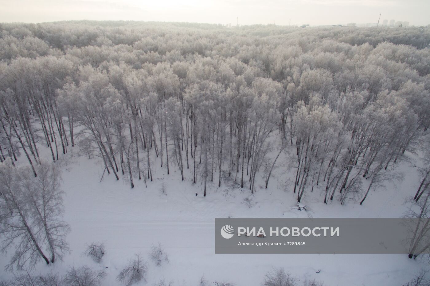 Соревнования по ездовому спорту в Новосибирске