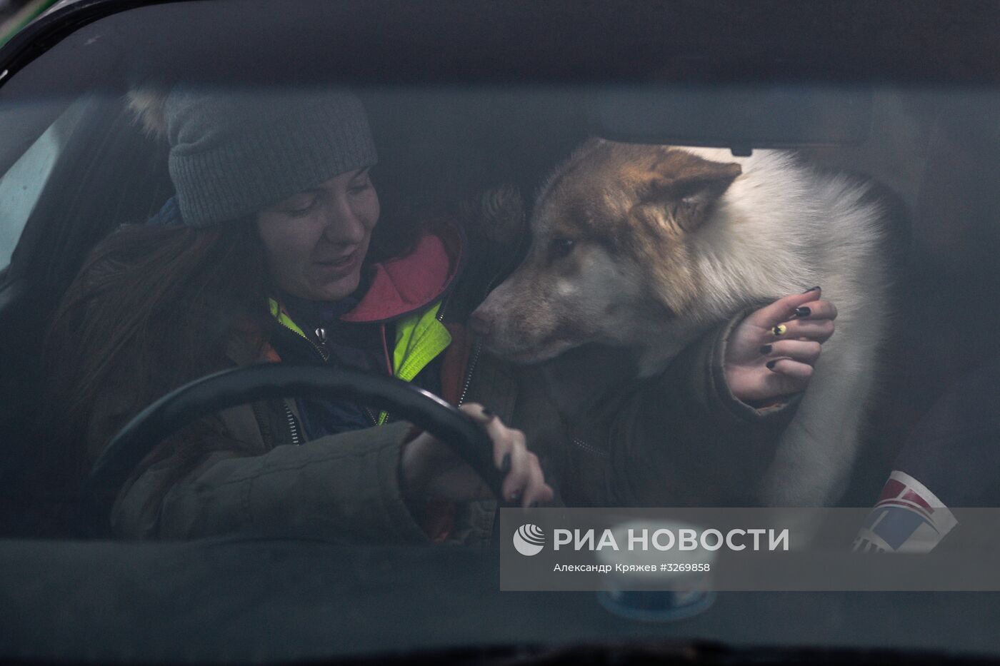 Соревнования по ездовому спорту в Новосибирске