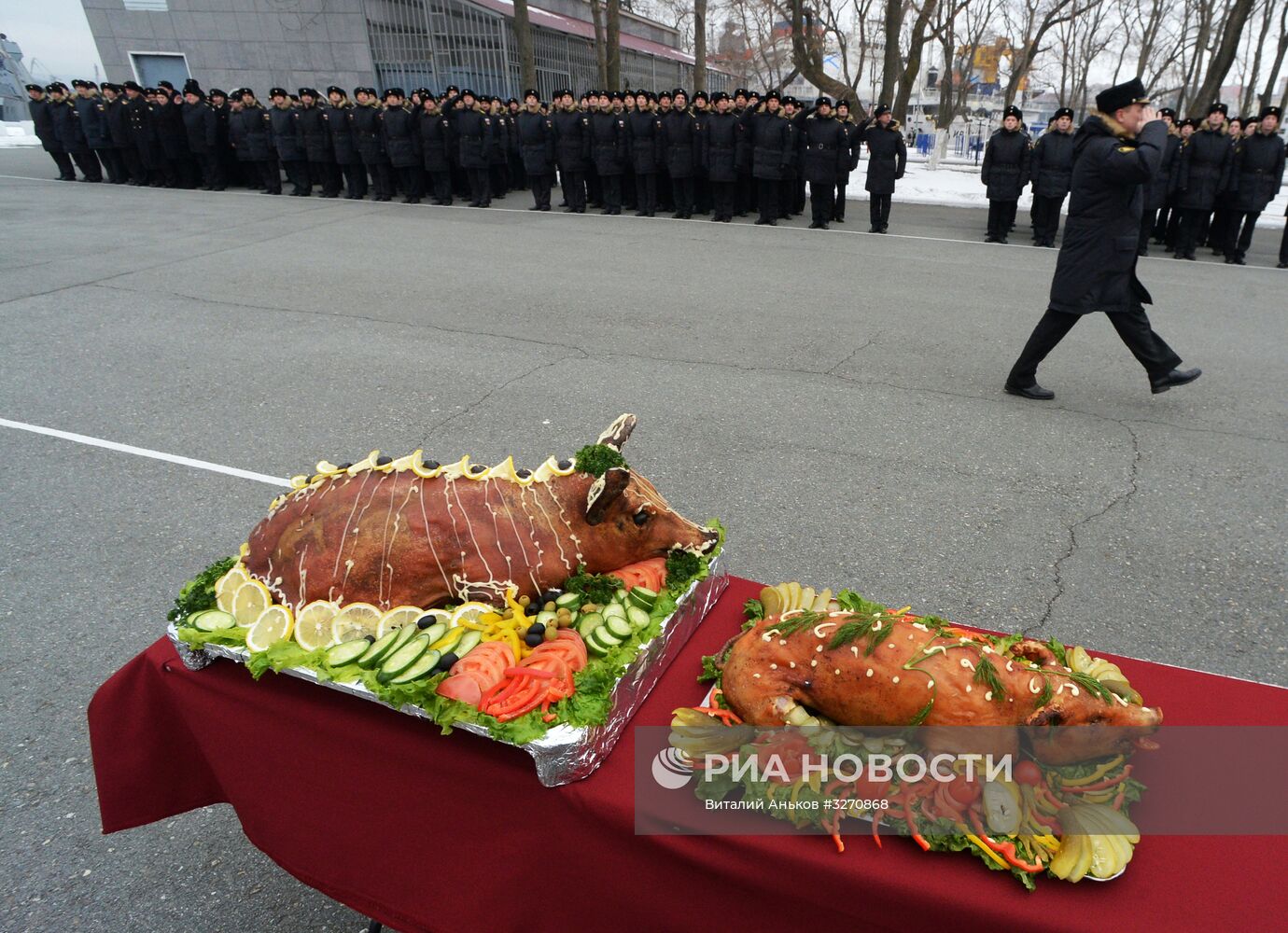 Встреча кораблей Тихоокеанского флота во Владивостоке