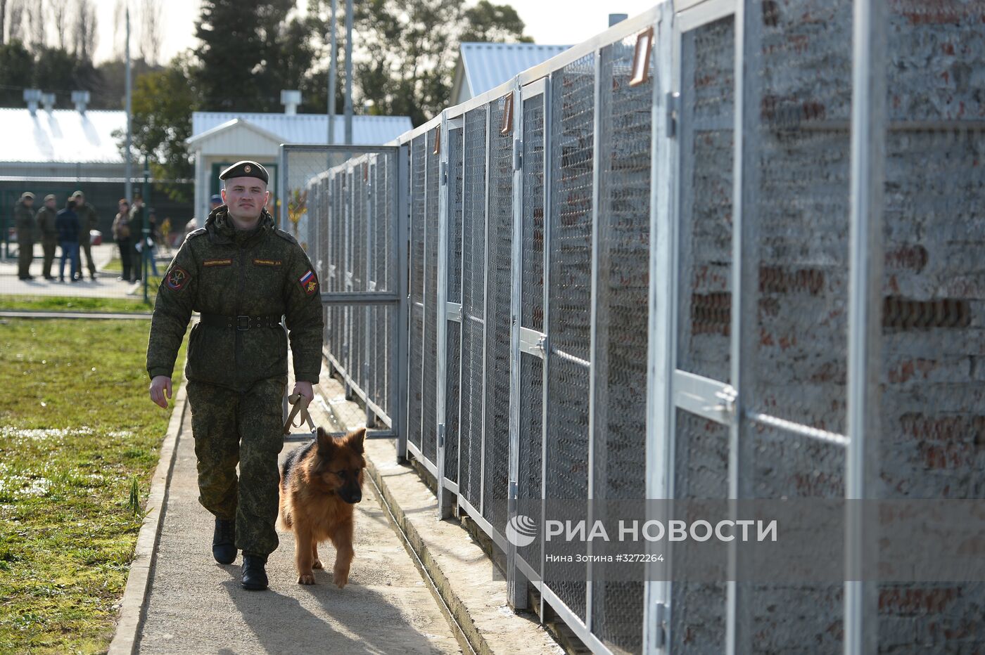 Тренировка служебных караульных собак в Абхазии